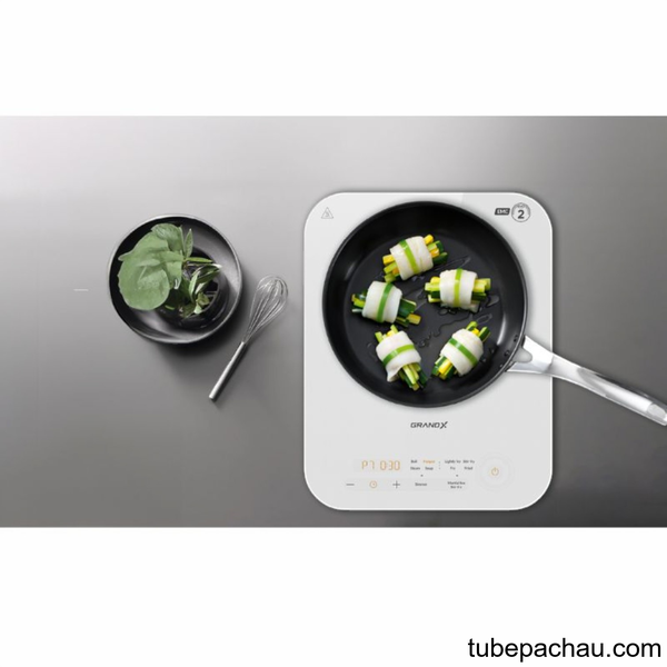 Bếp từ đơn GrandX GX IH169