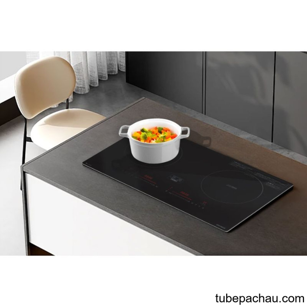 Bếp từ GrandX GX IP876JP