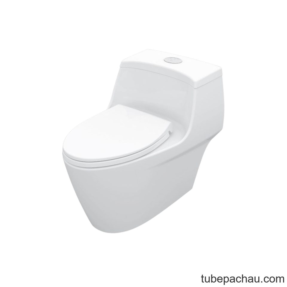 Bồn Cầu 1 Khối Iconic Hafele 588.79.400
