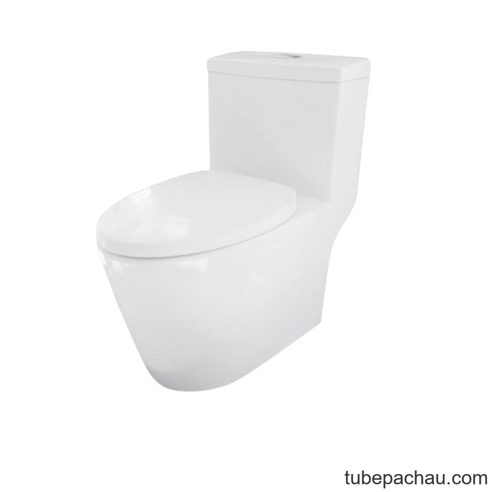 Bồn Cầu 1 Khối Iconic Hafele 588.79.402