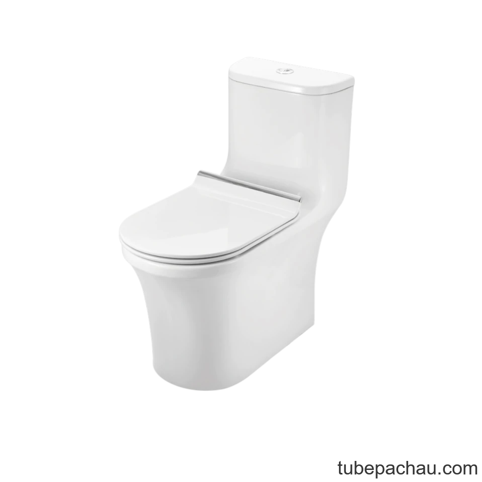 Bồn Cầu 1 Khối Sapporo Hafele 588.79.408