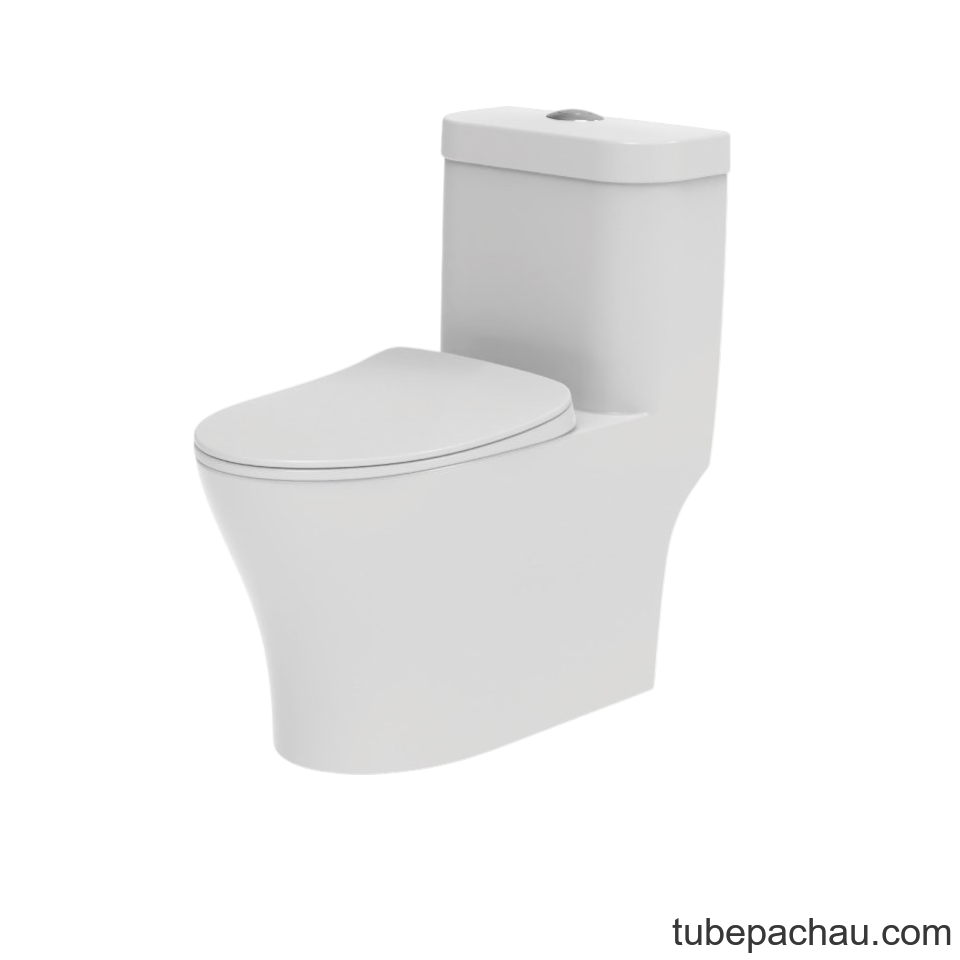 Bồn Cầu 1 Khối Sapporo Hafele 588.79.412