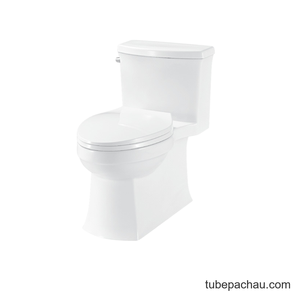 Bồn Cầu 1 Khối Victoria Hafele 588.79.403