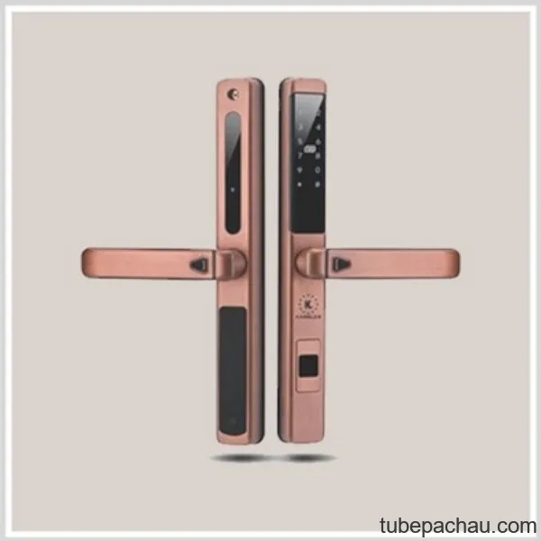 Khóa cửa điện tử Kassler KL 599LX Copper App
