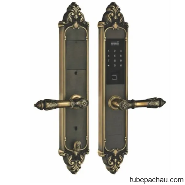 Khóa cửa điện tử Kassler KL 959 G