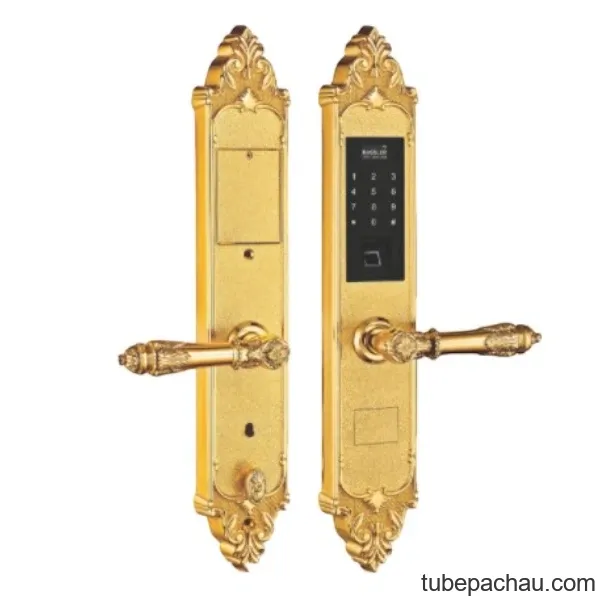 Khóa cửa điện tử Kassler KL 959 G