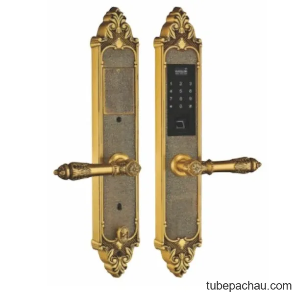 Khóa cửa điện tử Kassler KL 959 G
