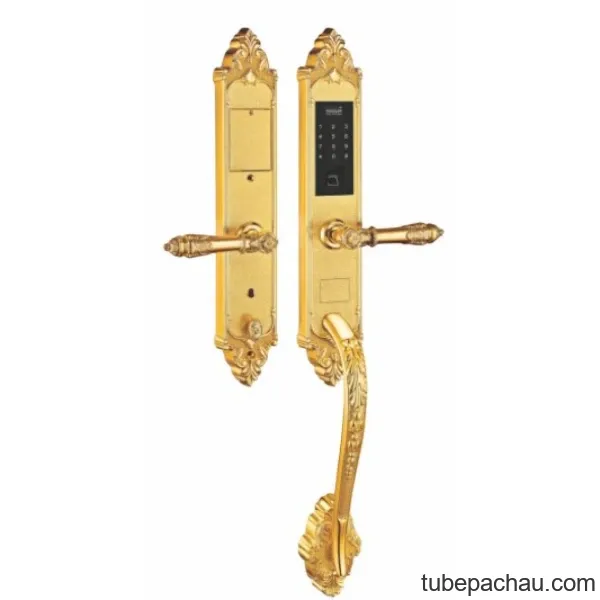Khóa cửa điện tử Kassler KL 969 G