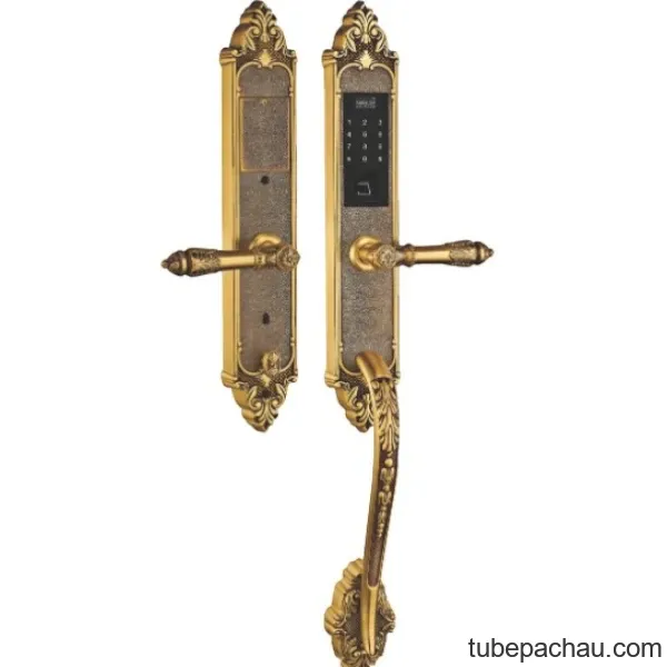 Khóa cửa điện tử Kassler KL 969 G