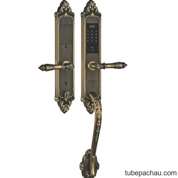 Khóa cửa điện tử Kassler KL 969 G