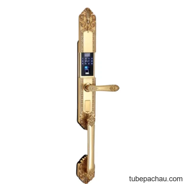 Khóa cửa điện tử Kassler KL 979 Gold App