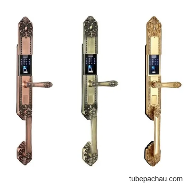 Khóa cửa điện tử Kassler KL 979 Gold App