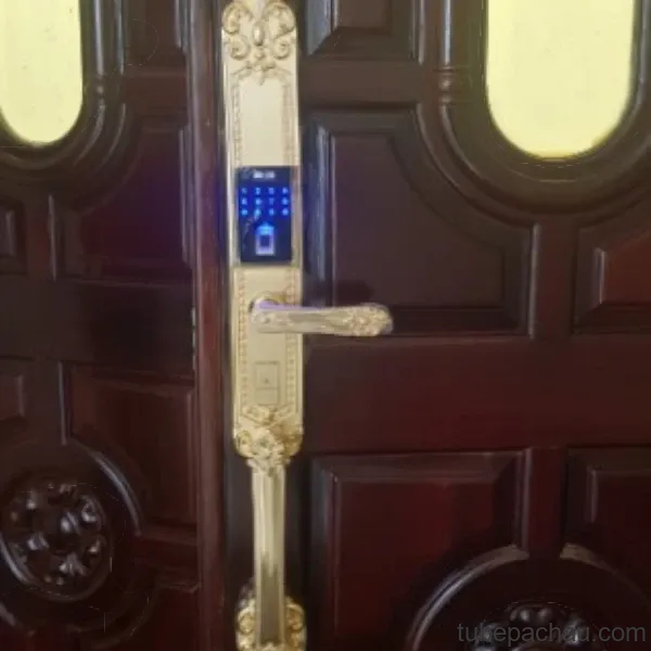 Khóa cửa điện tử Kassler KL 979 Gold App