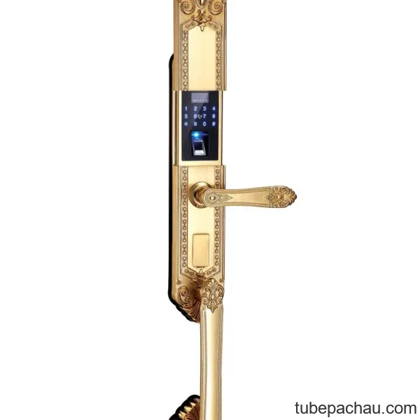 Khóa vân tay tân cổ Kassler KL-979-APP