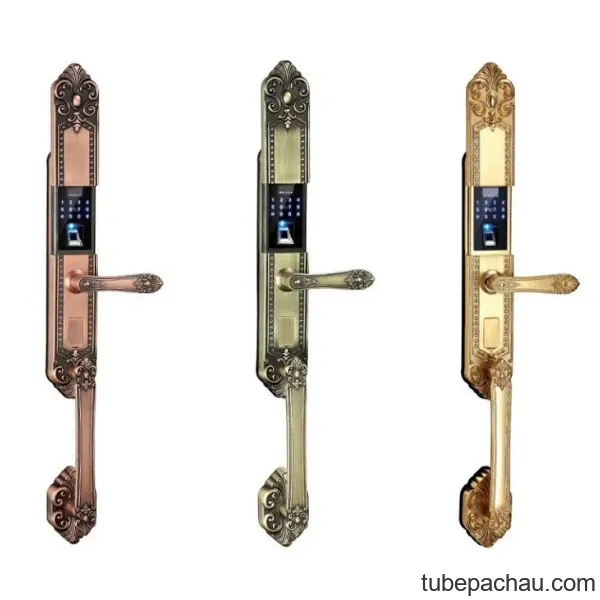 Khóa điện tử Kassler KL-979 G/ Khóa vân tay tân cổ