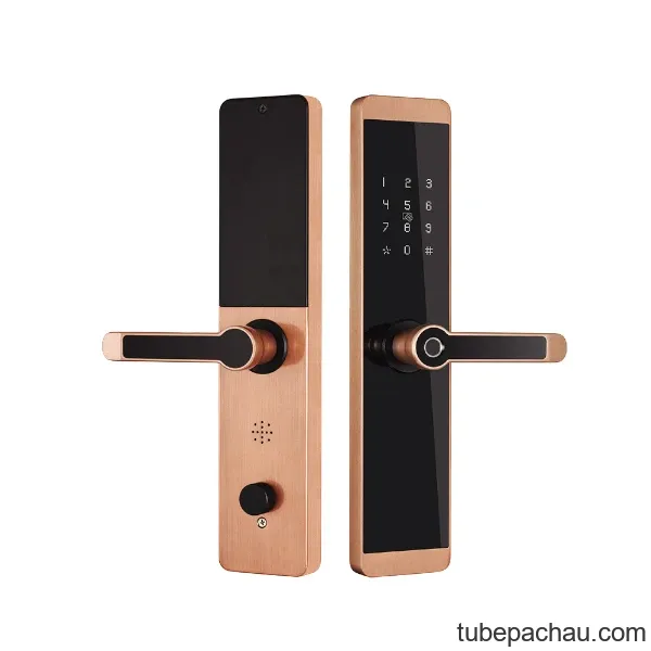 Khóa cửa vân tay Kassler KL-600 App mobi màu đồng