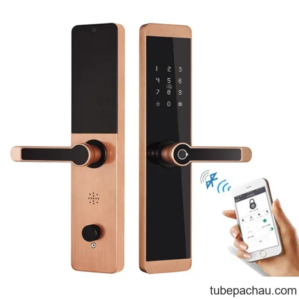 Khóa cửa vân tay Kassler KL-600 App mobi màu đồng