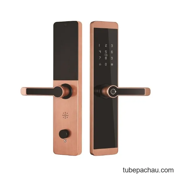 Khóa cửa vân tay Kassler KL-600 MÀU ĐỒNG