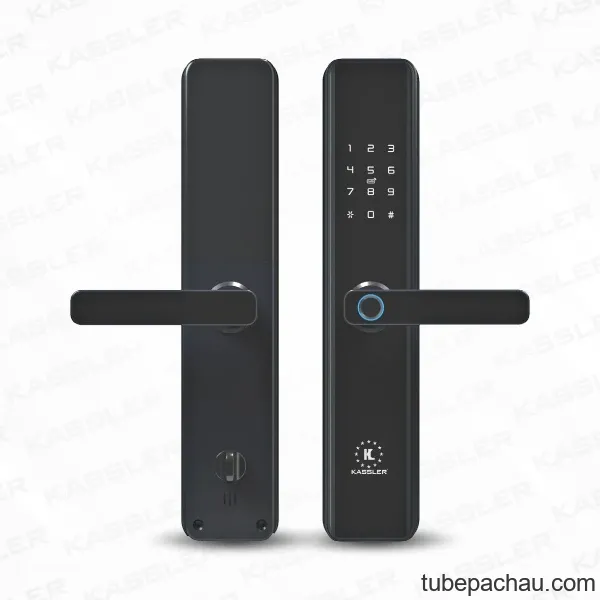 Khóa cửa vân tay Kassler KL-669Black