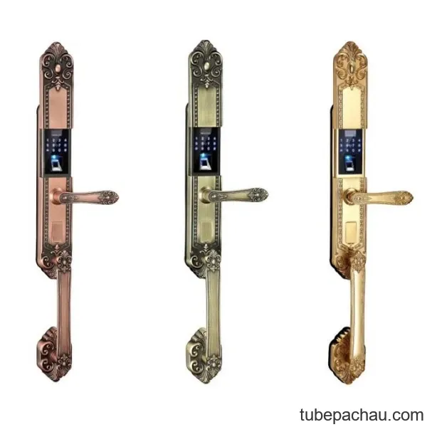 Khóa đại sảnh tân cổ Kassler KL-969GR
