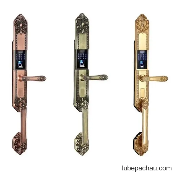 Khóa đại sảnh tân cổ Kassler KL-969GR
