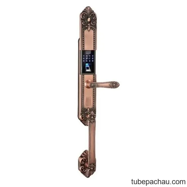 Khóa điện tử Kassler KL 979 R/ Khóa vân tay tân cổ