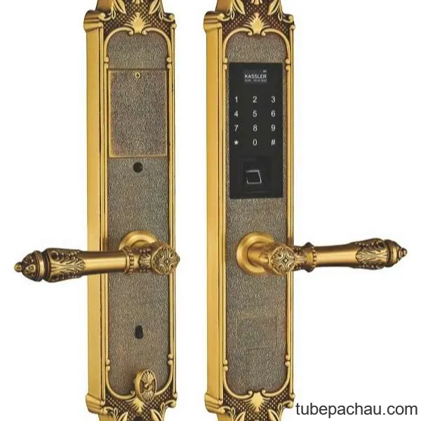 Khóa tân cổ đại sảnh Đức Kassler KL-959C
