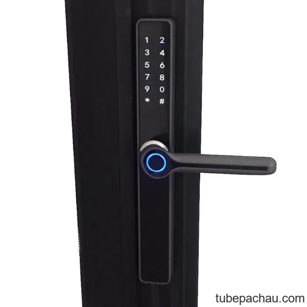 Khóa vân tay Kassler KL-599 Black