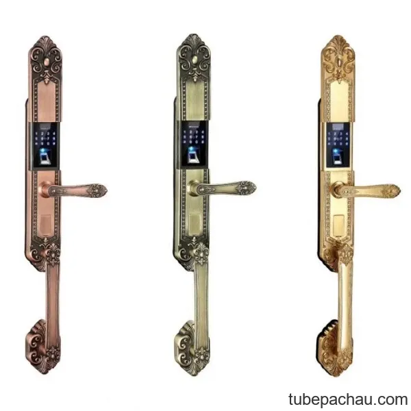 Khóa vân tay tân cổ Kassler KL-979