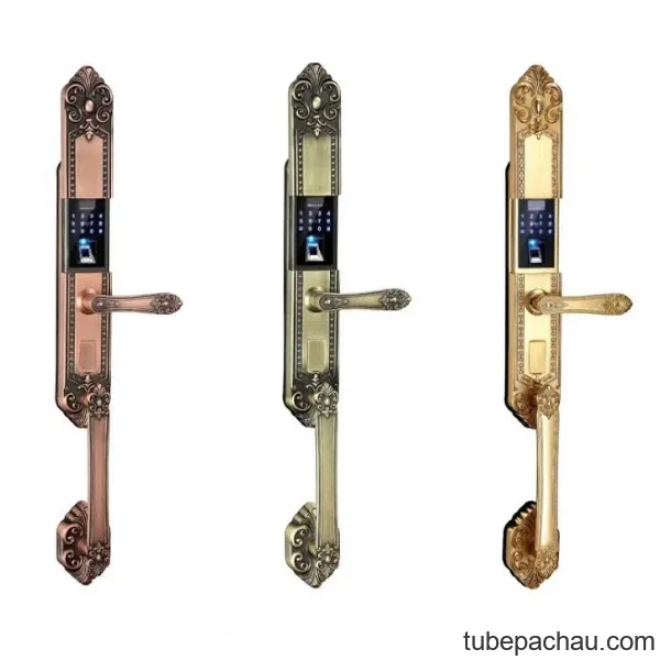 Khóa vân tay tân cổ Kassler KL-979