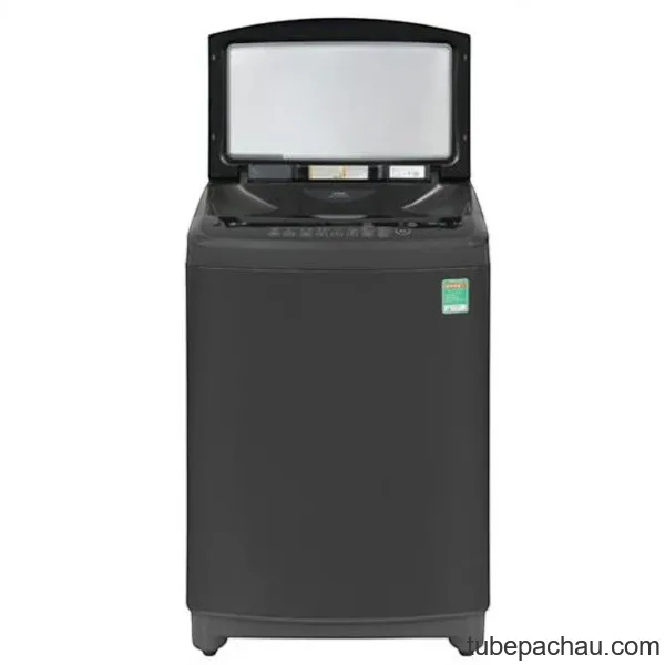 Máy giặt LG TurboDrum Inverter 10 kg T2310VS2B