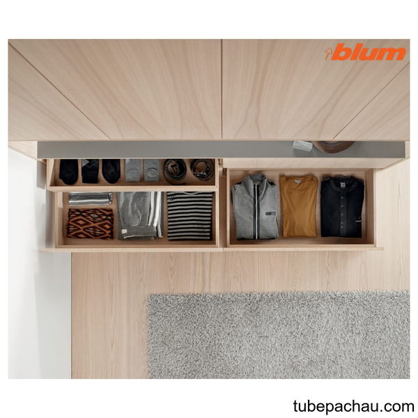 Ray Âm Giảm Chấn 450mm 560H4500B Blum 423.54.746