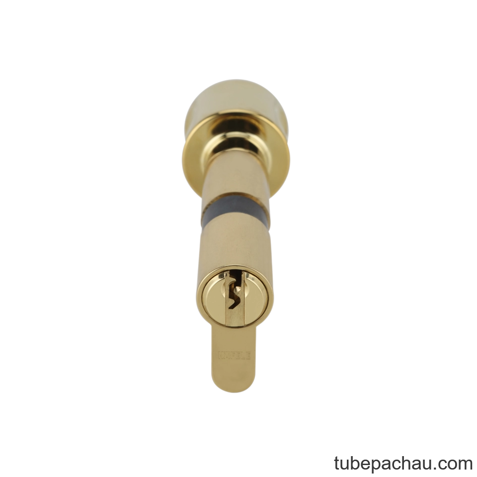 Ruột Khóa 1 Đầu Chìa 1 Đầu Vặn 81mm Hafele 916.01.068