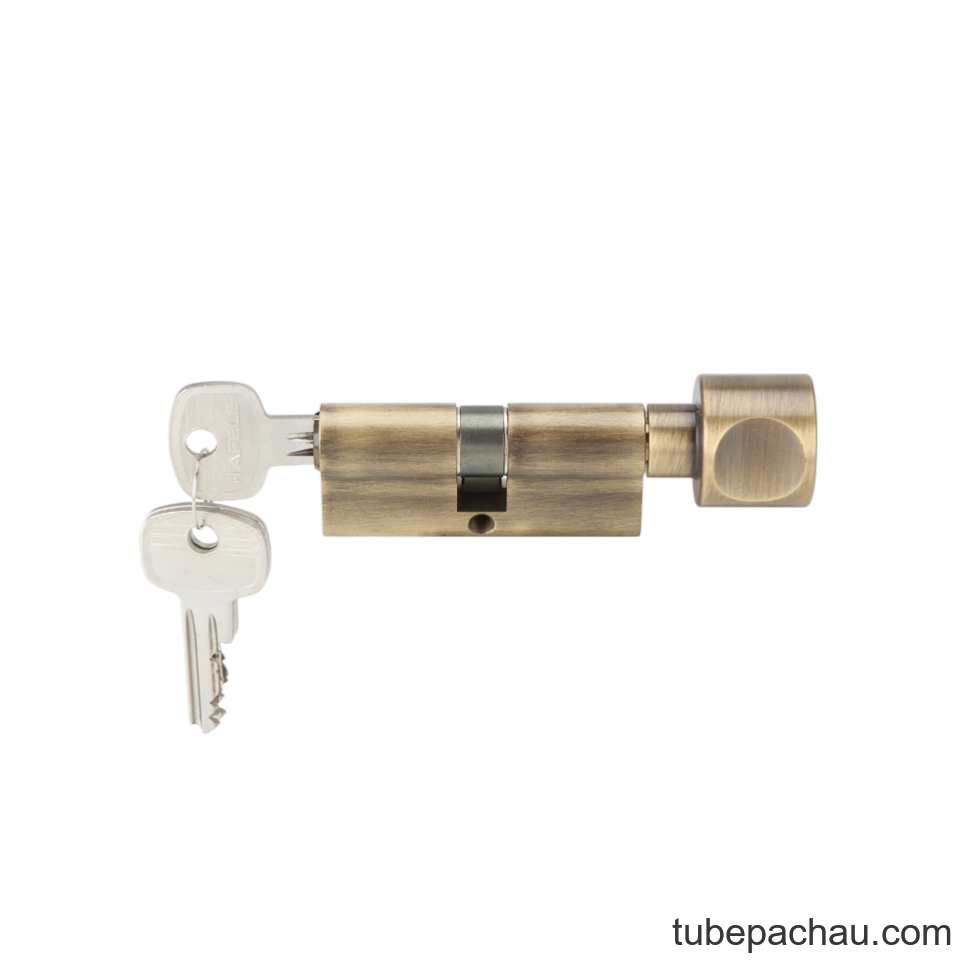 Ruột Khóa 1 Đầu Chìa 1 Đầu Vặn 81mm Hafele 916.08.294