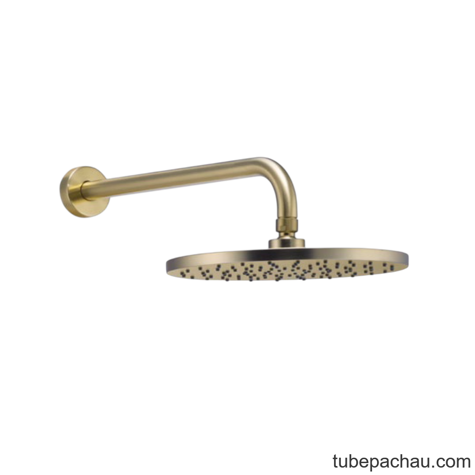 Sen Đầu Gắn Tường Retro Hafele 589.15.390