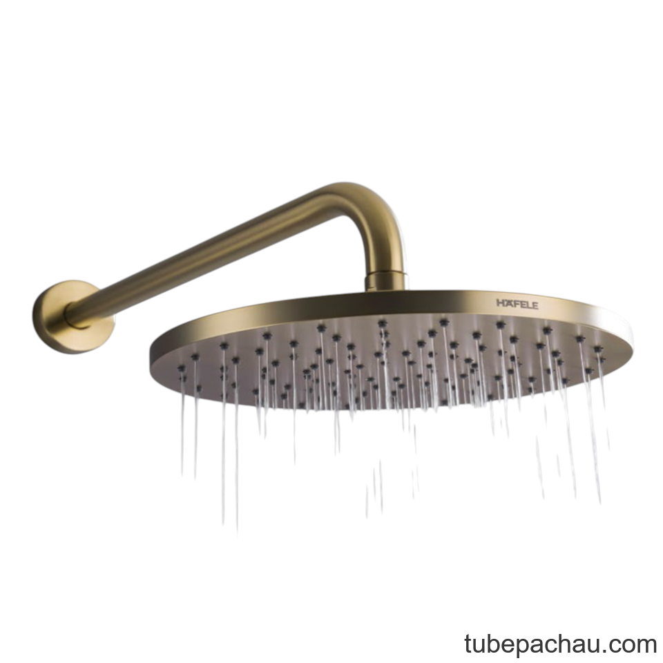 Sen Đầu Gắn Tường Retro Hafele 589.15.390