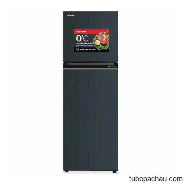 Tủ Lạnh 2 cánh Inverter 253 Lít Toshiba GR-RT329WE-PMV(52)