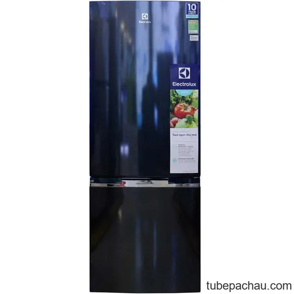 Tủ lạnh Electrolux EBB2600BG