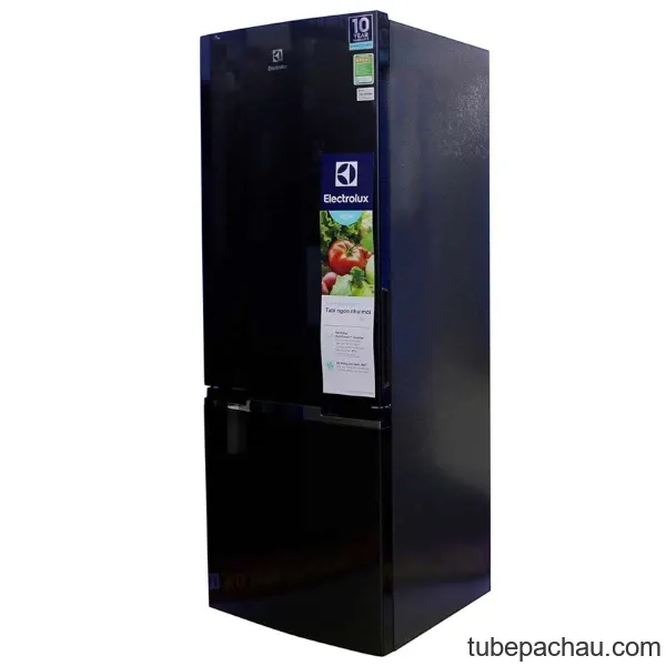 Tủ lạnh Electrolux EBB2600BG