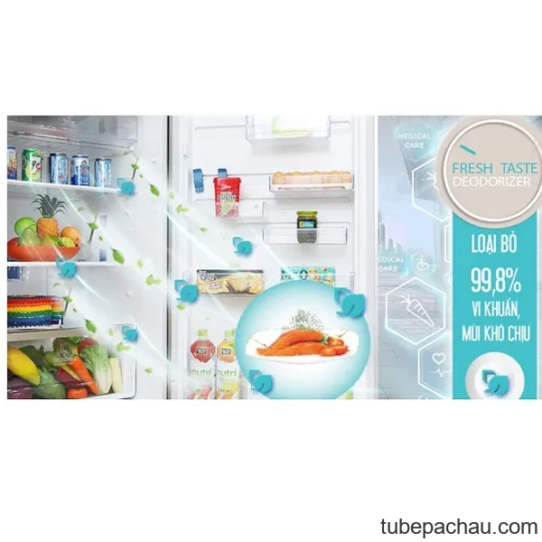 Tủ lạnh Electrolux EBB2600MG