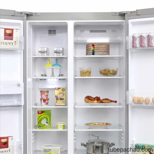 Tủ lạnh Electrolux ESE5301AG-VN