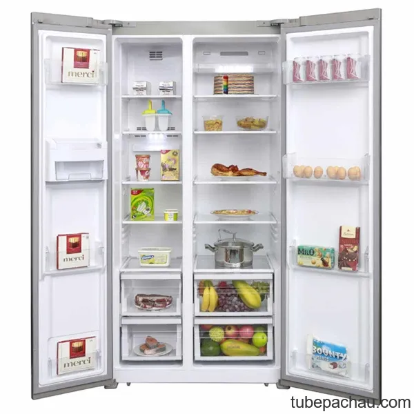 Tủ lạnh Electrolux ESE5301AG-VN
