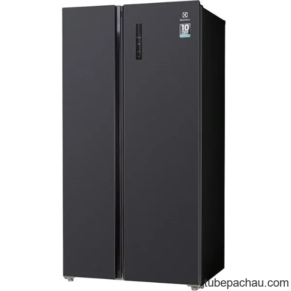 Tủ lạnh Electrolux ESE5401A-BVN