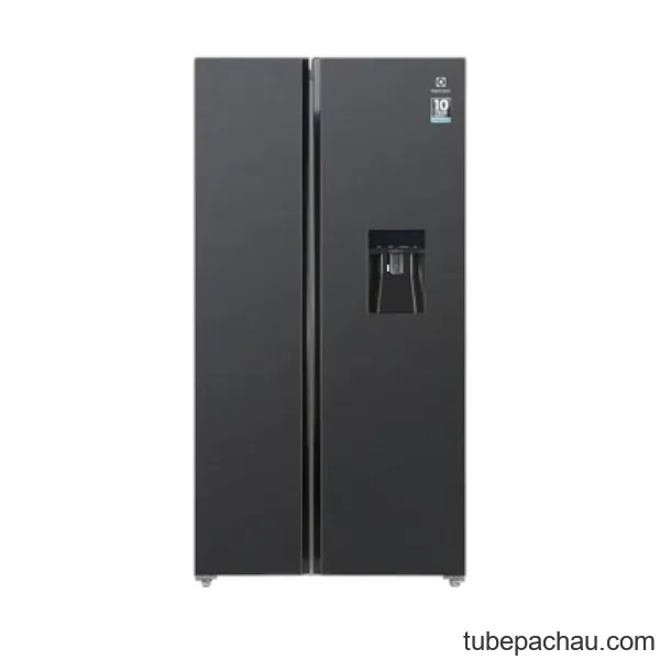 Tủ lạnh Electrolux ESE6141A-BVN