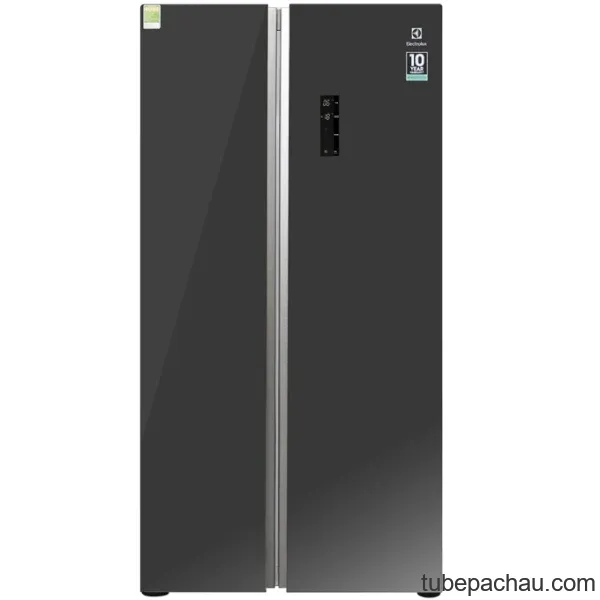 Tủ lạnh Electrolux ESE6201BG-VN