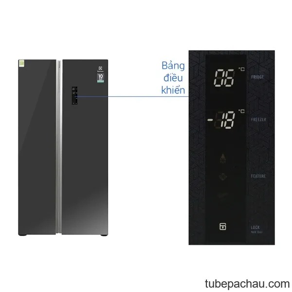 Tủ lạnh Electrolux ESE6201BG-VN