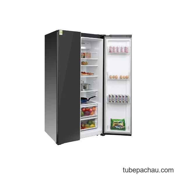 Tủ lạnh Electrolux ESE6201BG-VN