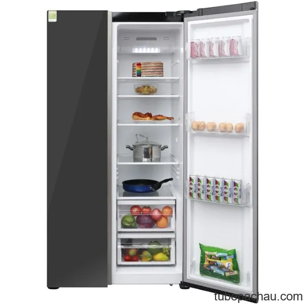 Tủ lạnh Electrolux ESE6201BG-VN