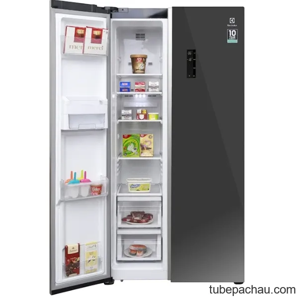 Tủ lạnh Electrolux ESE6201BG-VN