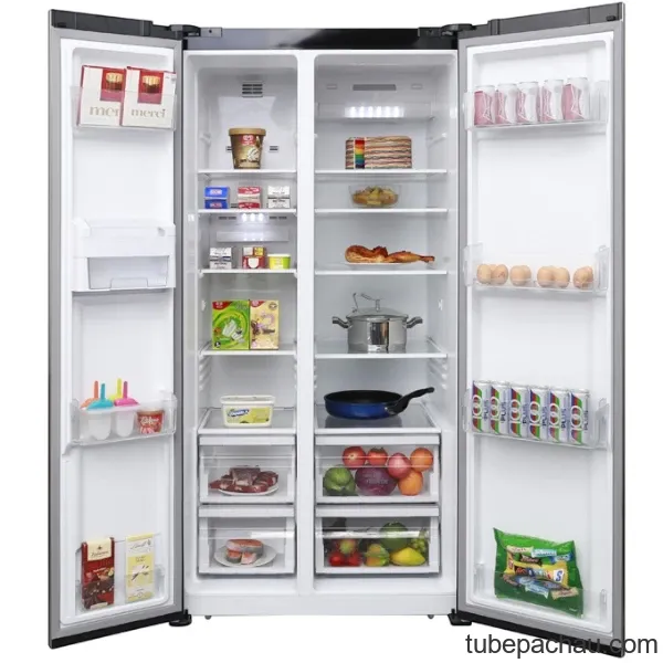 Tủ lạnh Electrolux ESE6201BG-VN